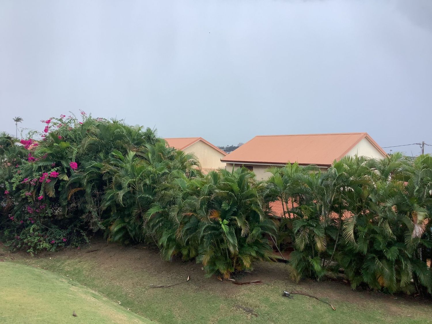 Beau F5 -Cluny - Fort-de-France