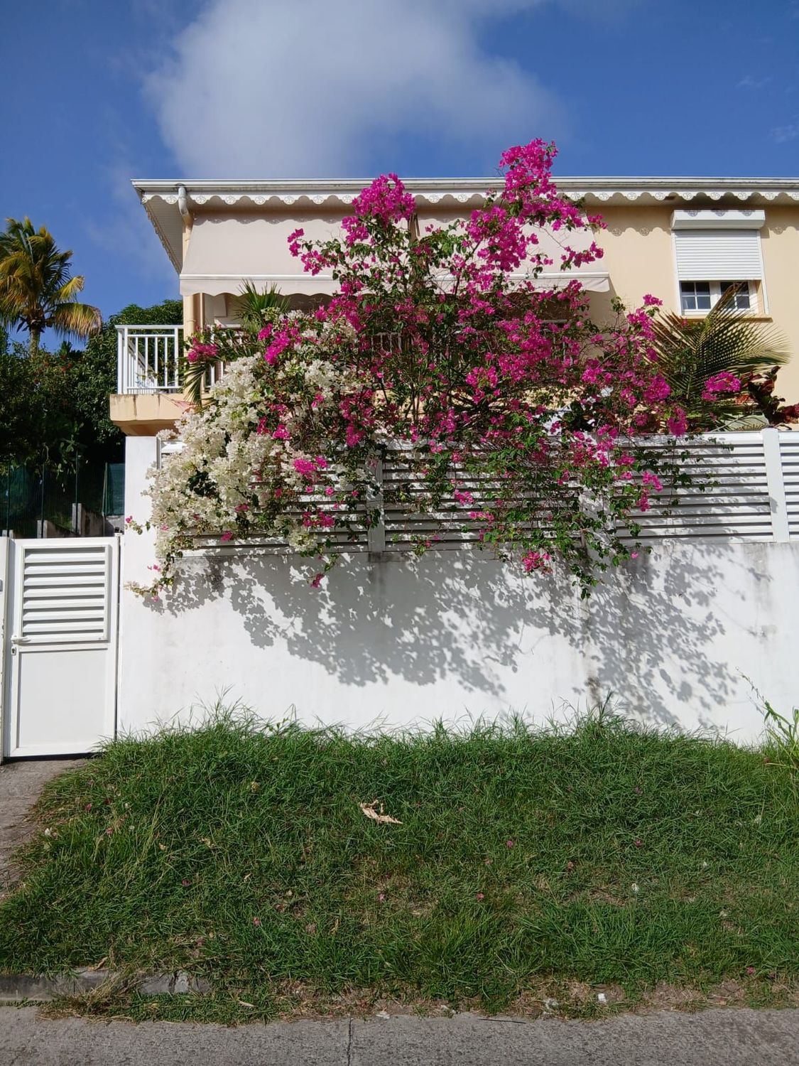 Villa Indépendante F4 Meublée – Le Marin (Quartier Mondésir) Villa Indépendante F4 Meublée – Le Marin (Quartier Mondésir)