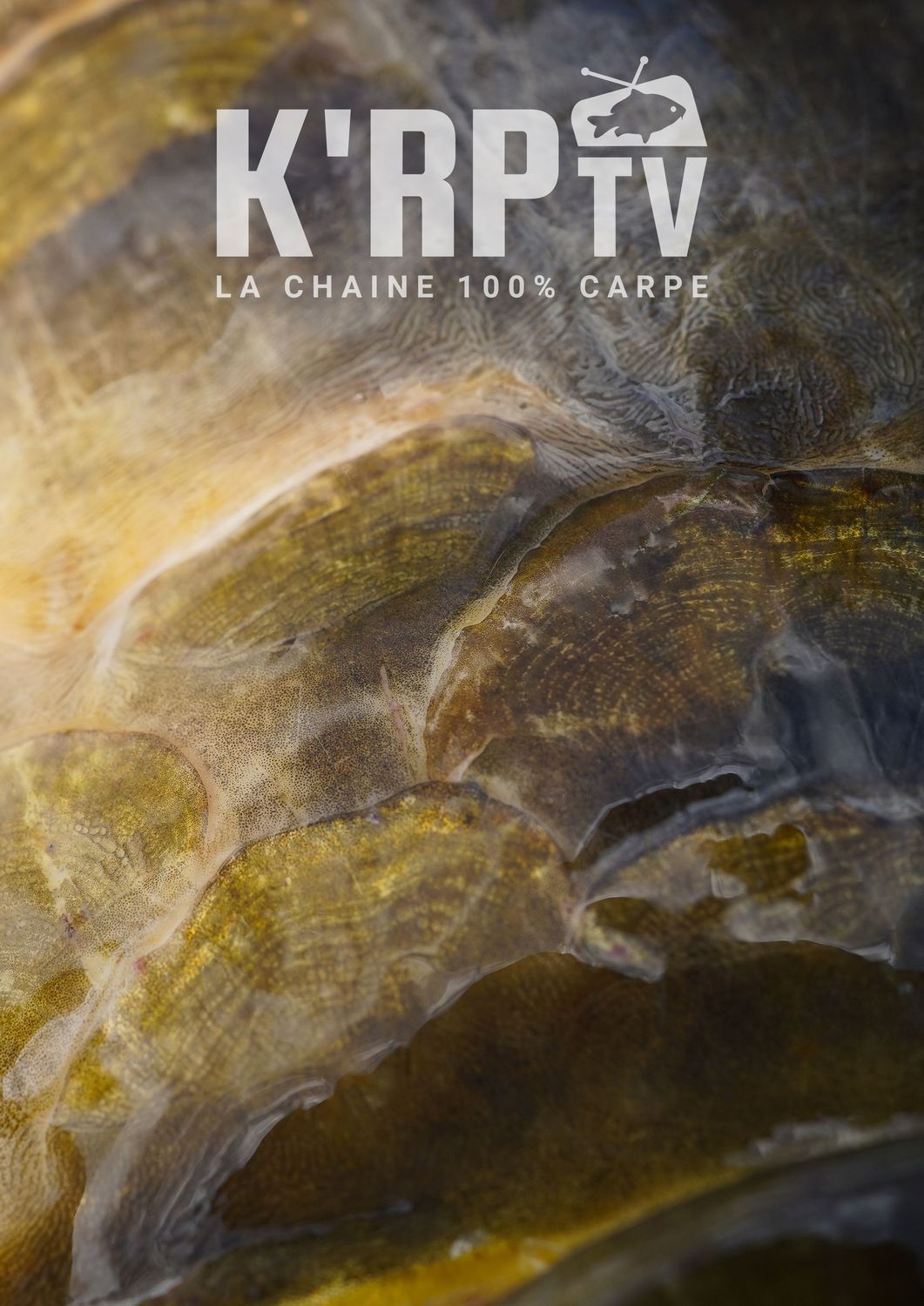 Poster#4 K'RPTV