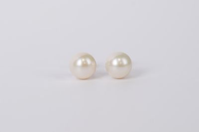 ILX- 14KW 8mm Cultured Pearl Stud Earrings