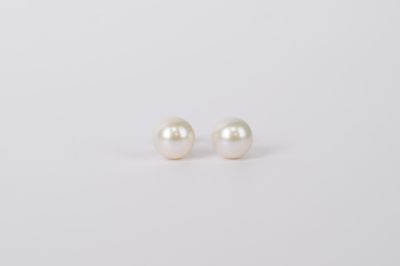 ILX- 14KY 8mm Cultured Pearl Stud Earrings