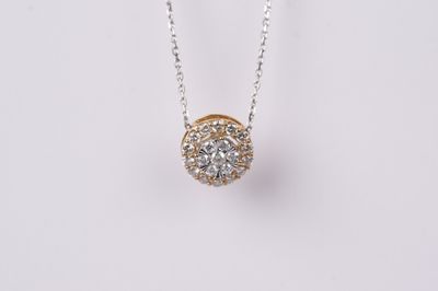 DETX- 14KWY 3.1g 2/3ctw Diamond Cluster Halo Pendant 18-20&quot;