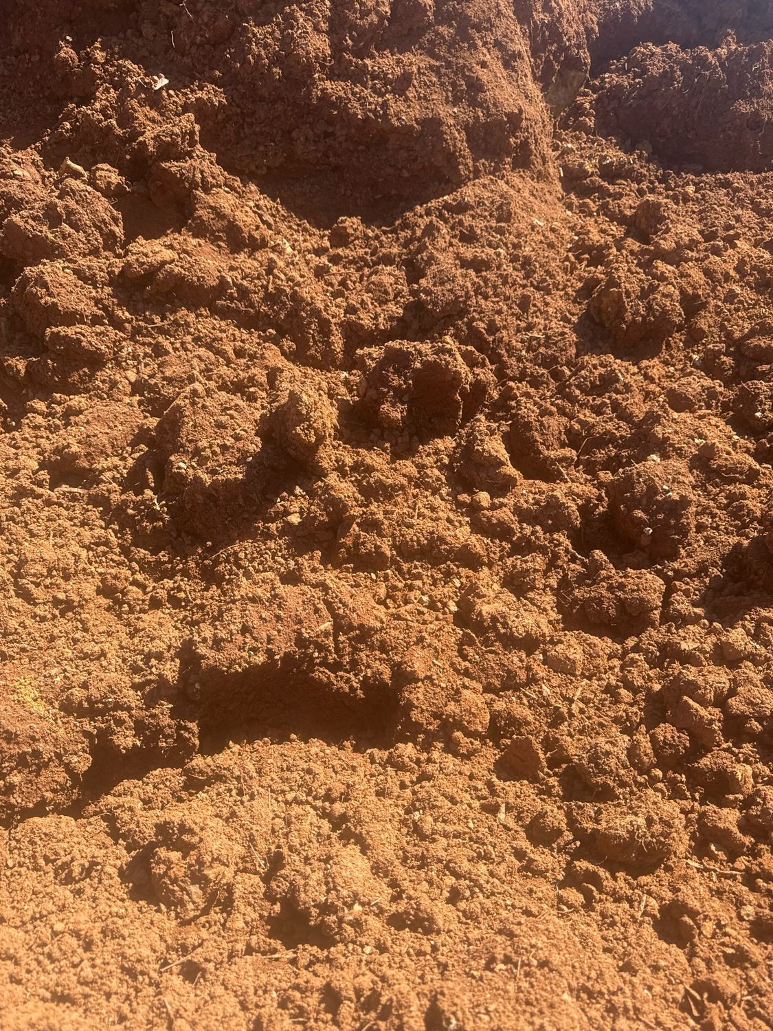 Soils