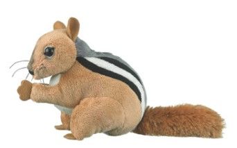 Conservation Critters Chipmunk