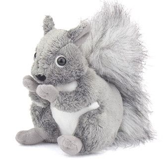 Conservation Critters Squirrel