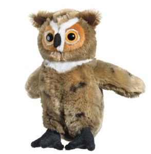 Conservation Critters Great Horned Owl