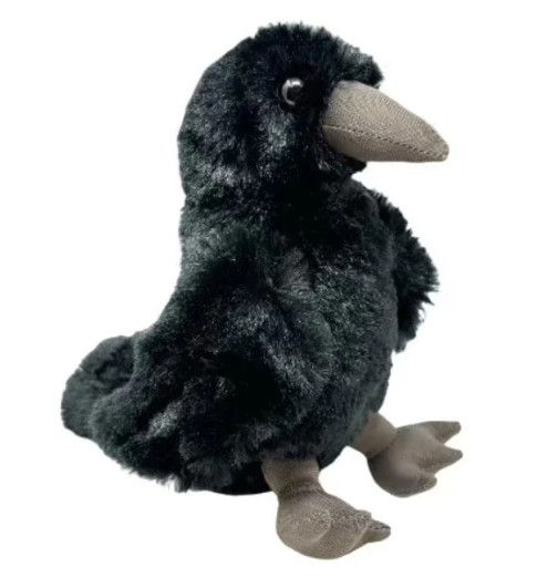 Conservation Critters Raven
