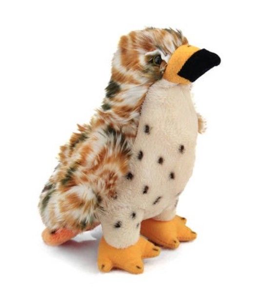 Conservation Critters Red-Tailed Hawk