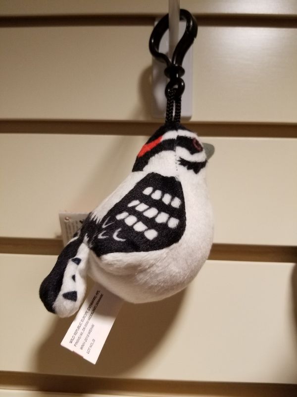 Bird Clip Downy Woodpecker