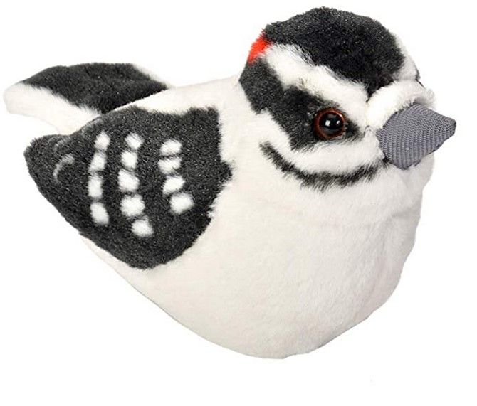 Audubon Bird Downy Woodpecker