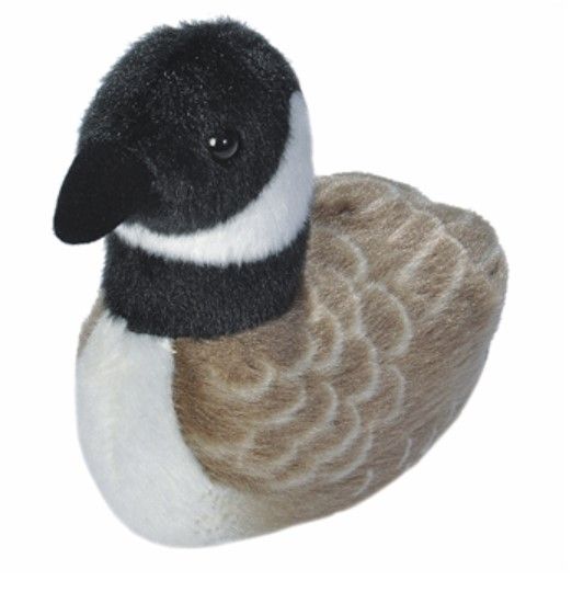 Audubon Bird Canada Goose