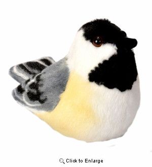 Audubon Bird Black-Capped Chickadee