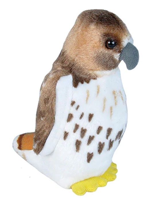 Audubon Bird Red-Tailed Hawk