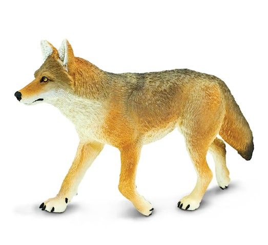 Safari Coyote - Large