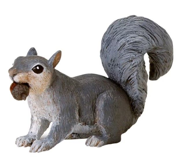 Safari Gray Squirrel