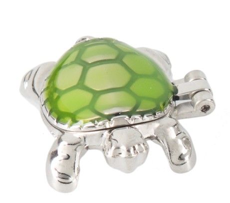 Wish Box Turtle Charm