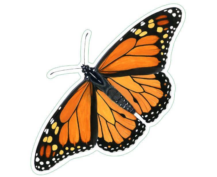 Monarch Butterfly Sticker