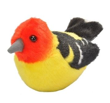 Audubon Bird Western Tanager