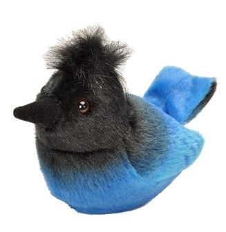 Audubon Birds Steller's Jay