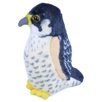 Audubon Birds Peregrine Falcon