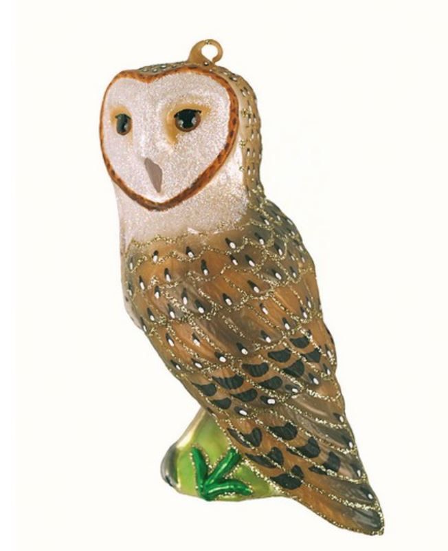 Cobane Barn Owl