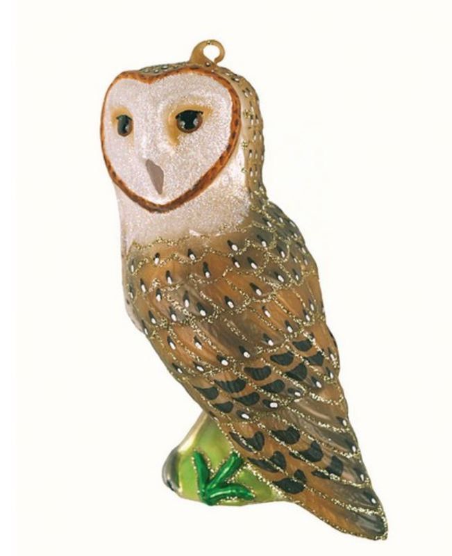 Cobane Barn Owl