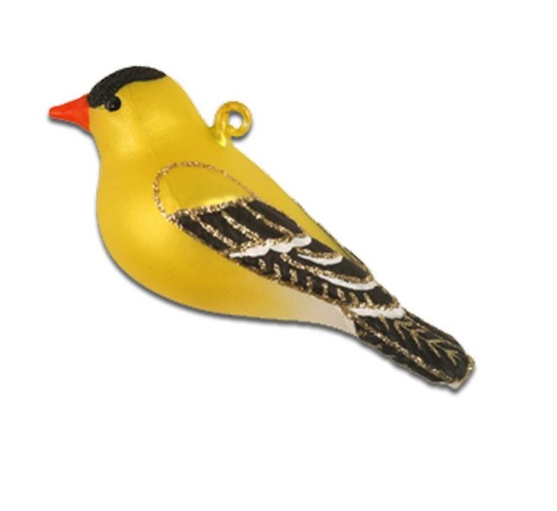 Cobane Goldfinch