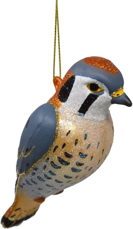 Cobane American Kestrel
