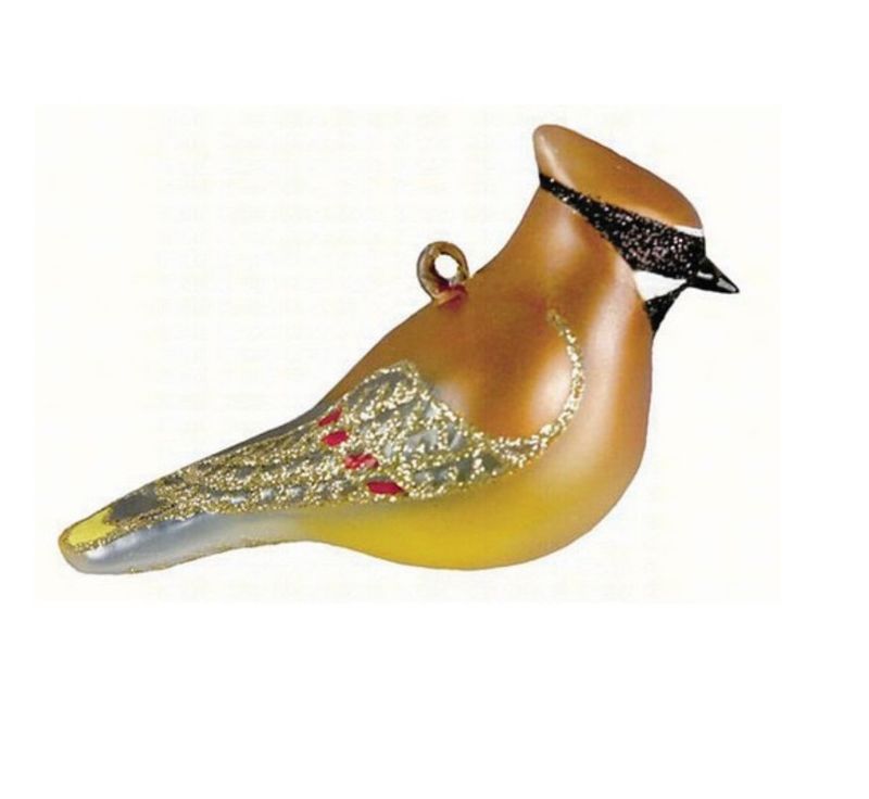 Cobane Cedar Waxwing