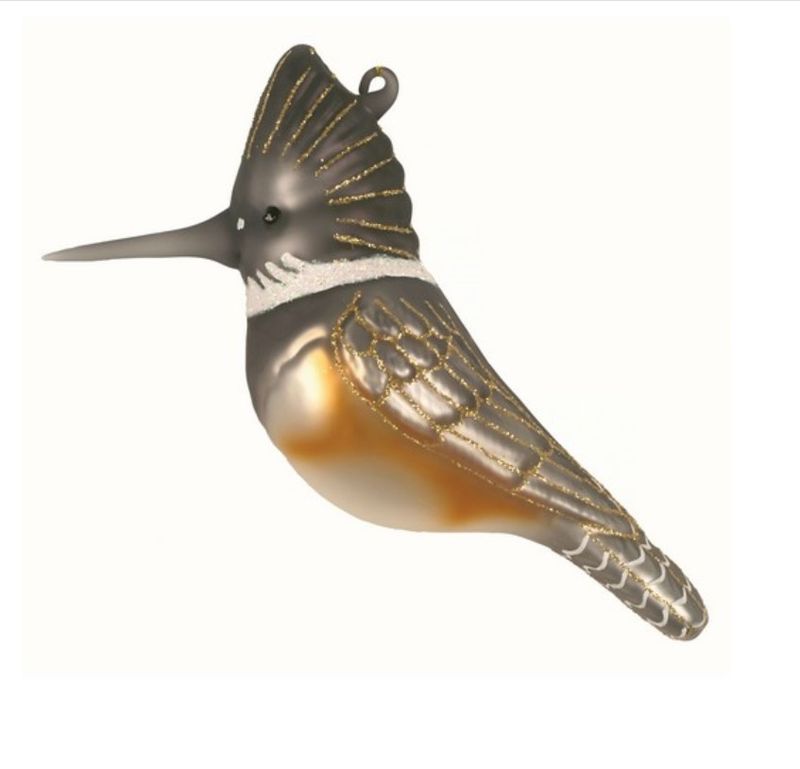Cobane Belted Kingfisher