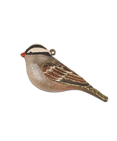 Cobane White Crowned Sparrow