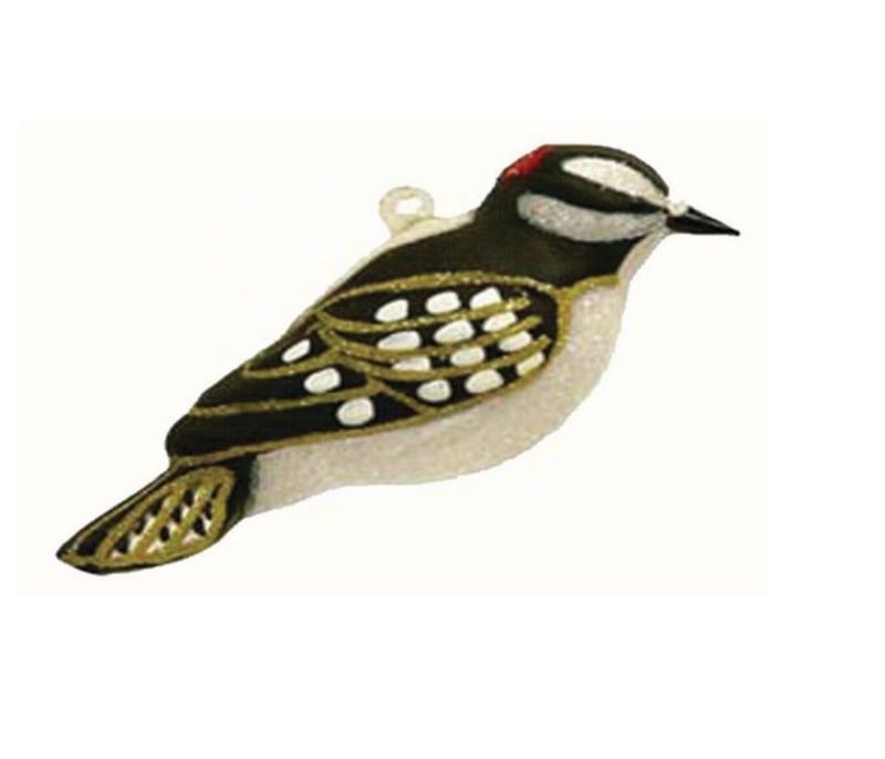 Cobane Downy Woodpecker