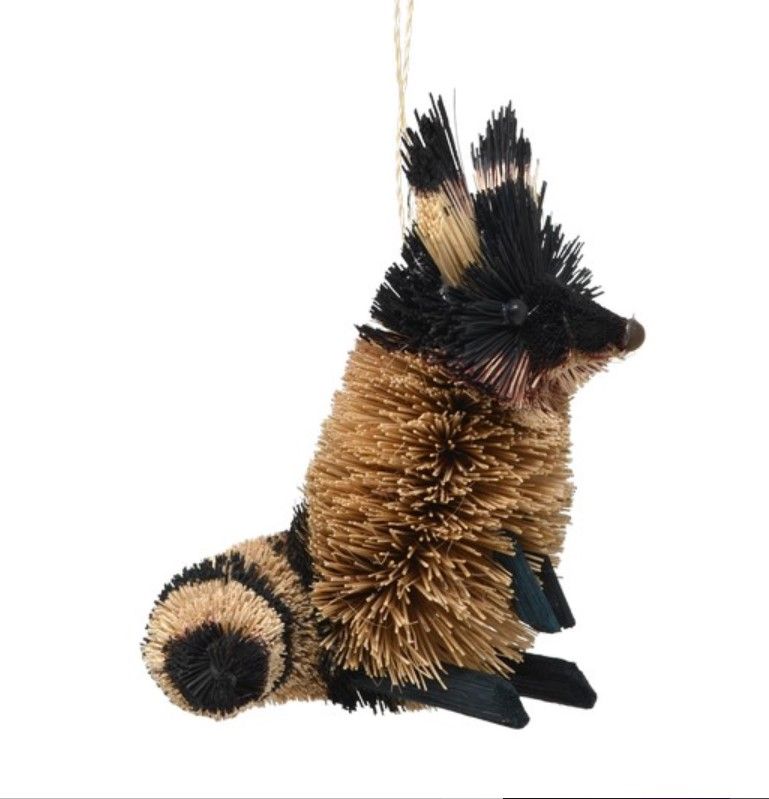 Brush Raccoon