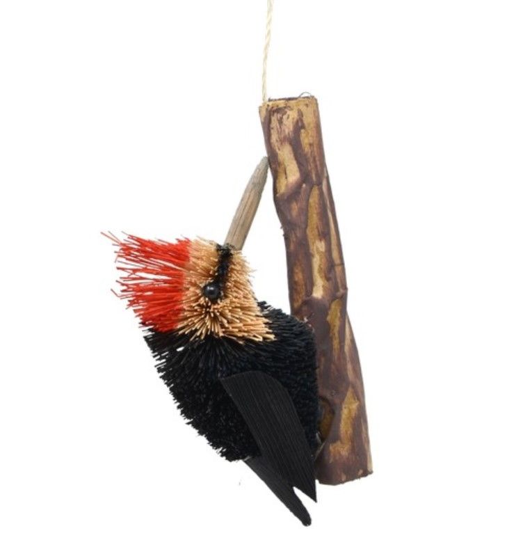 Brush Woodpecker