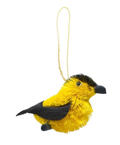 Brush Goldfinch
