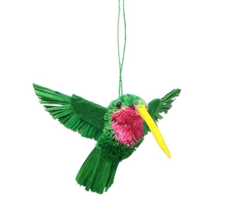 Brush Hummingbird