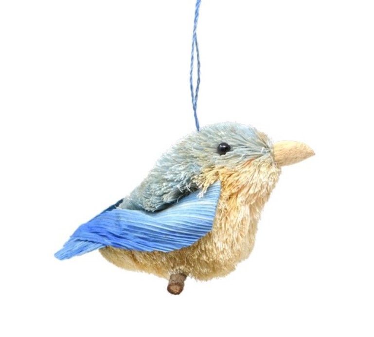 Brush Bluebird