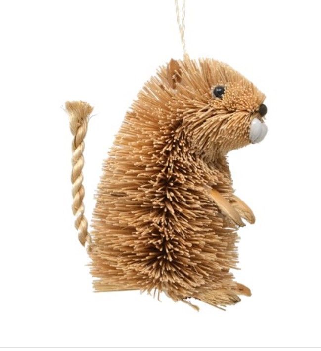 Brush Gopher