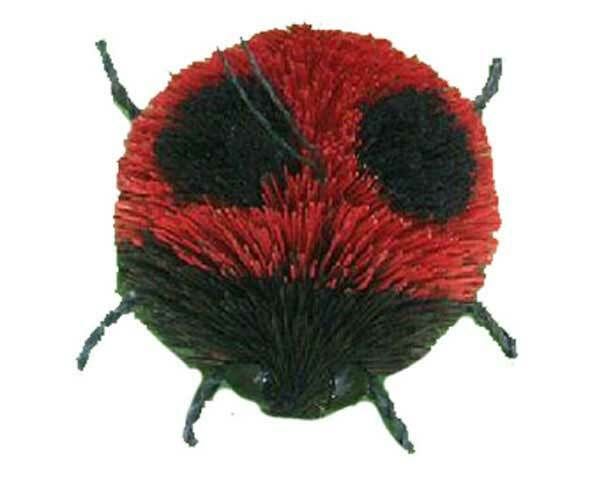 Brush Ladybug