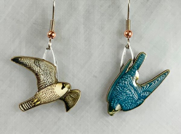 Jabebo - Peregrine Falcon