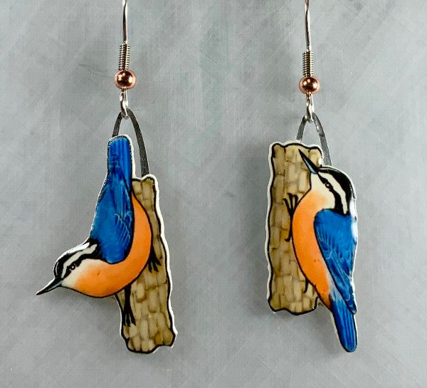 Jabebo - Red-Breasted Nuthatch