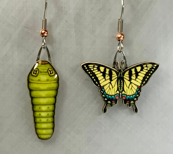 Jabebo - Tiger Swallowtail