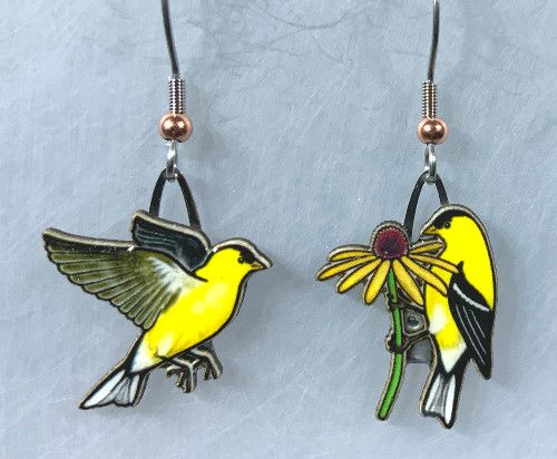 Jabebo - American Goldfinch