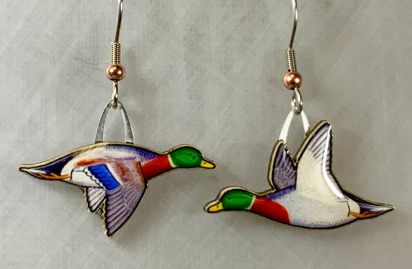 Jabebo - Mallard Duck