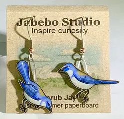 Jabebo - Scrub Jay