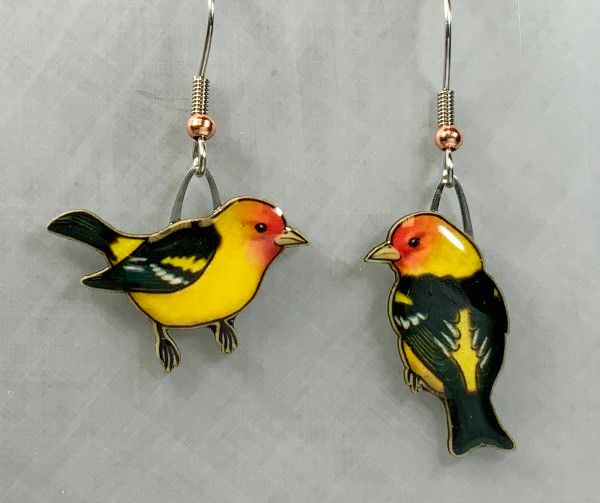 Jabebo - Western Tanager