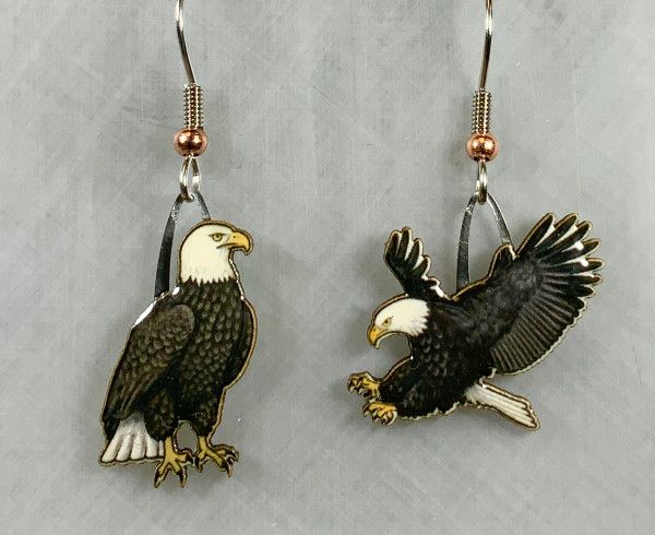 Jabebo - Bald Eagle