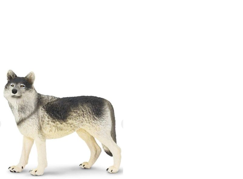 Safari Wolf - Medium