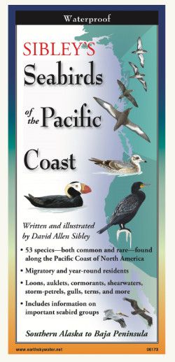 Folding Field Guide, Style: Seabirds of the Pacific Coast