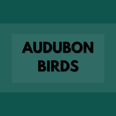 Audubon Birds